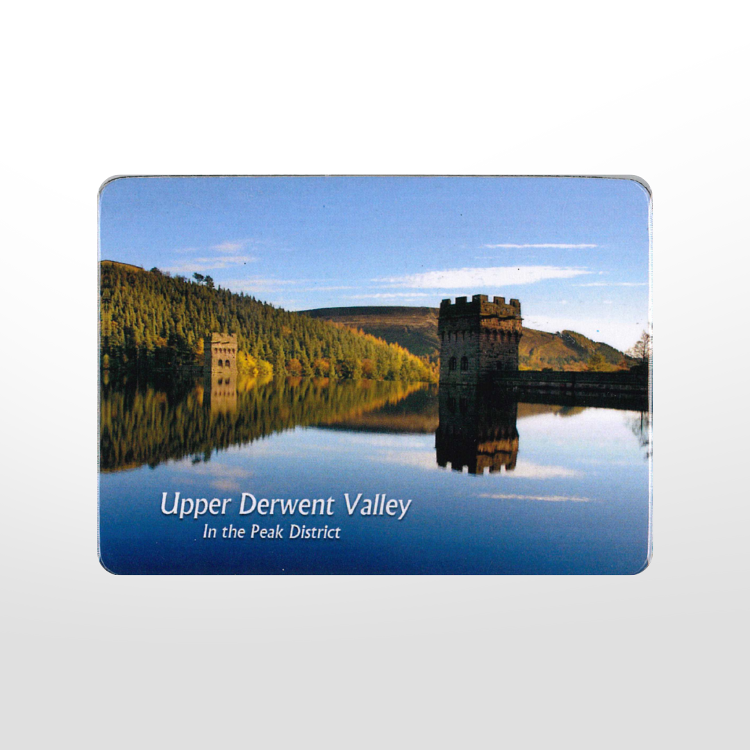 Derwent Fridge Magnet