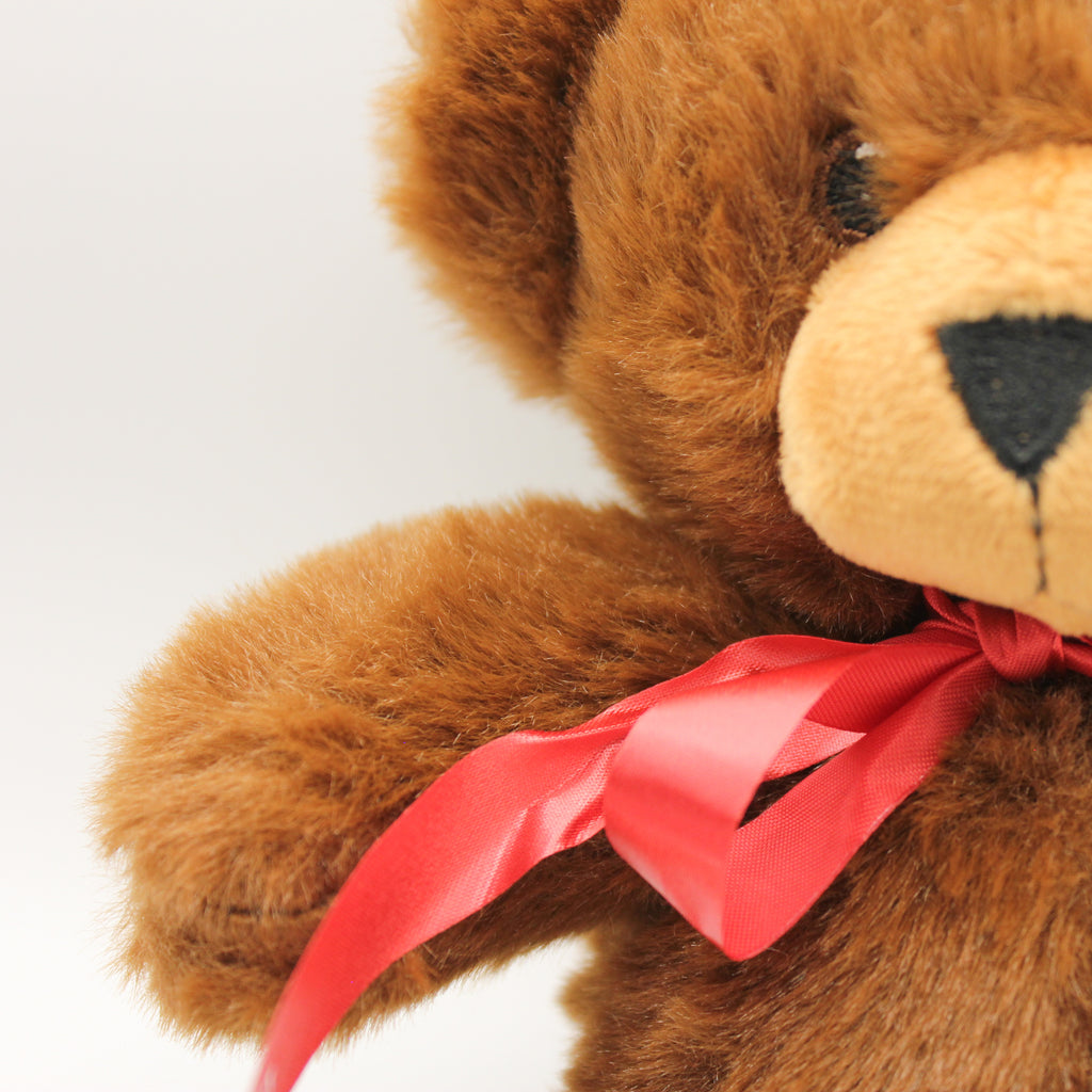 George Teddy Soft Toy