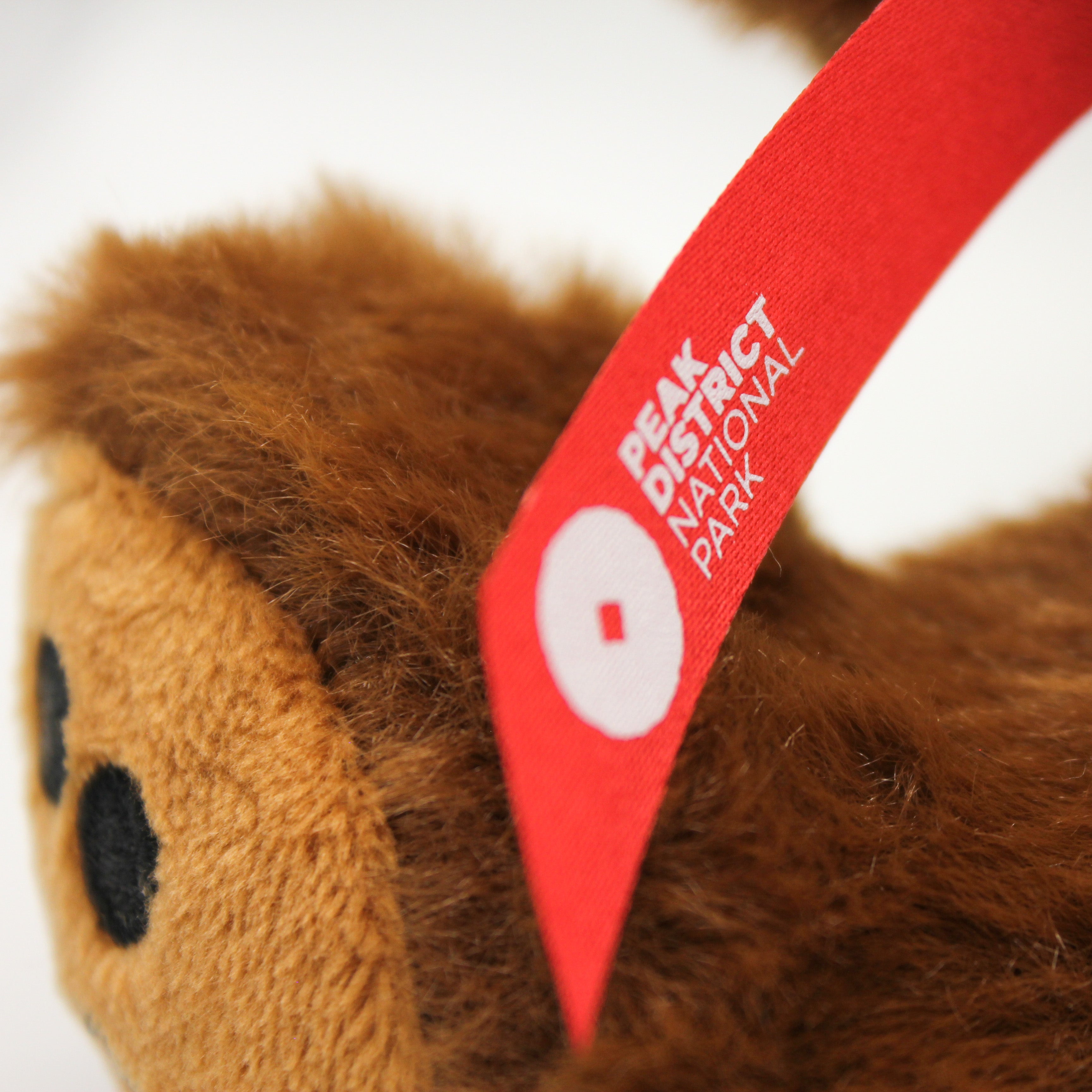 George Teddy Soft Toy