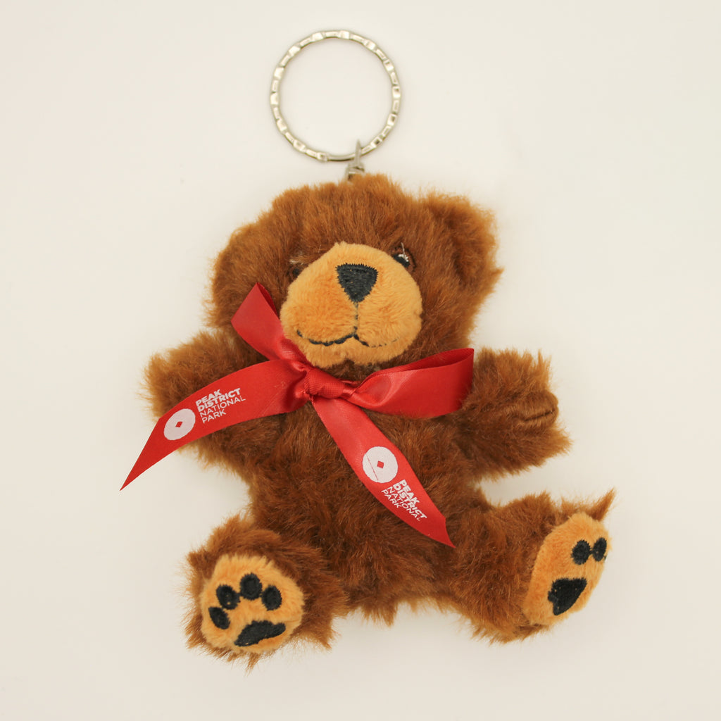 Keyring George Teddy Soft Toy