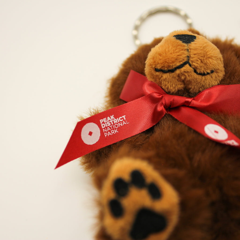 Keyring George Teddy Soft Toy