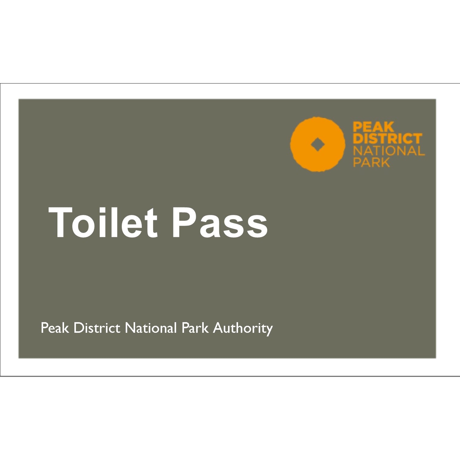 School Toilet Pass