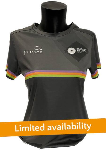 Women's Tech T-shirt Millstone Stripe