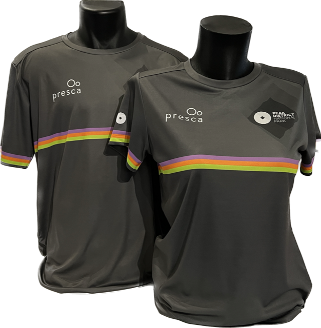 Women's Tech T-shirt Millstone Stripe